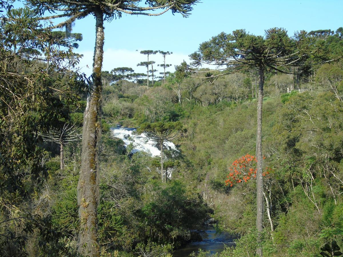 Refugio Monte Olimpo Hotel Campo Alegre  Exterior foto